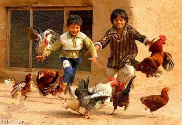 آنچه کم داریم ...(+عکس) آنچه کم داریم ...(+عکس)