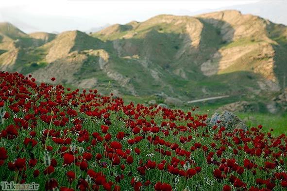 تصاویری از دیدنی های استان کهگیلویه و بویراحمد