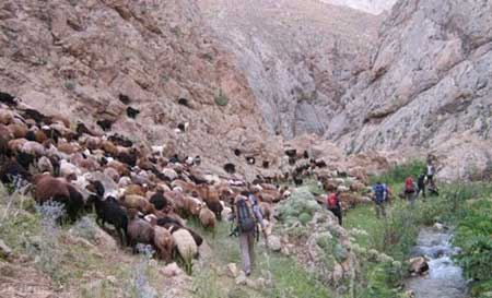 لزور یکی از جاذبه های گردشگری فیروزکوه + تصاویر لزور یکی از جاذبه های گردشگری فیروزکوه + تصاویر