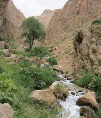 لزور یکی از جاذبه های گردشگری فیروزکوه + تصاویر لزور یکی از جاذبه های گردشگری فیروزکوه + تصاویر